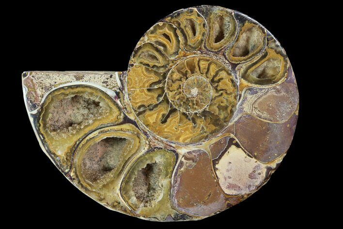 Sliced, Agatized Ammonite Fossil (Half) - Jurassic #100538